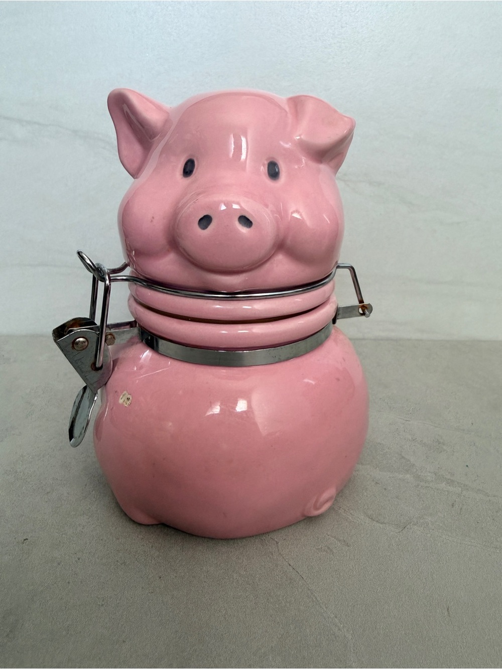 Kirkland Pink Pig Canister 6” Pre Owned